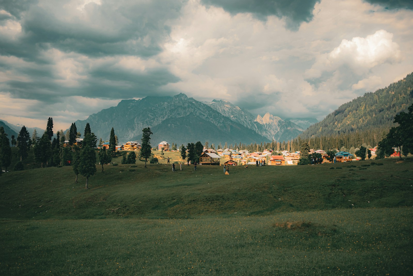 A green field with houses and mountains in the background