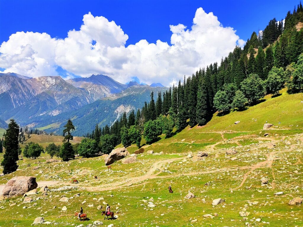 a group of people riding horses on a lush green hillside