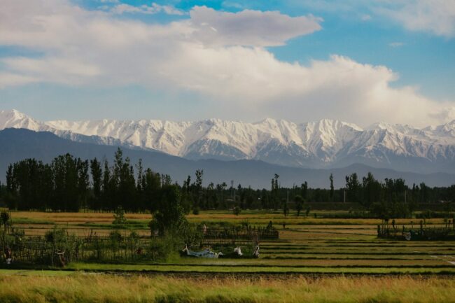 A field with mountains in the background