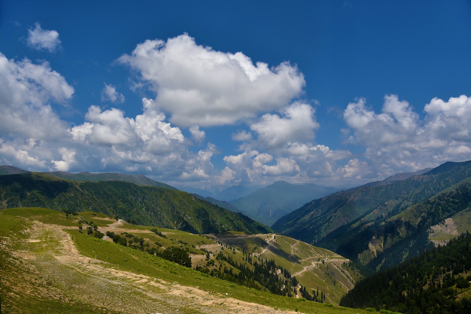 a scenic view of a valley with mountains in the background