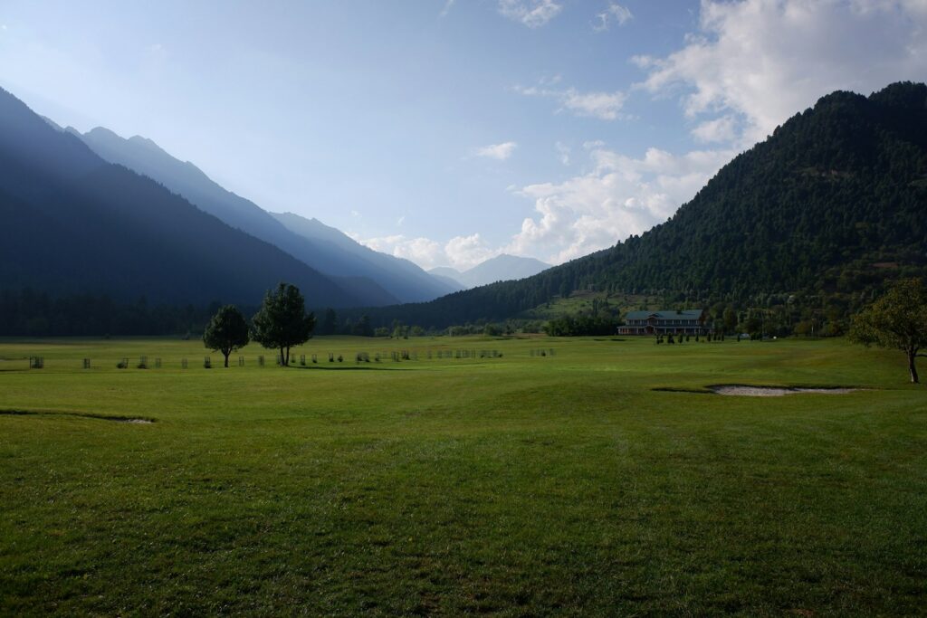 a grassy field with trees and mountains in the background